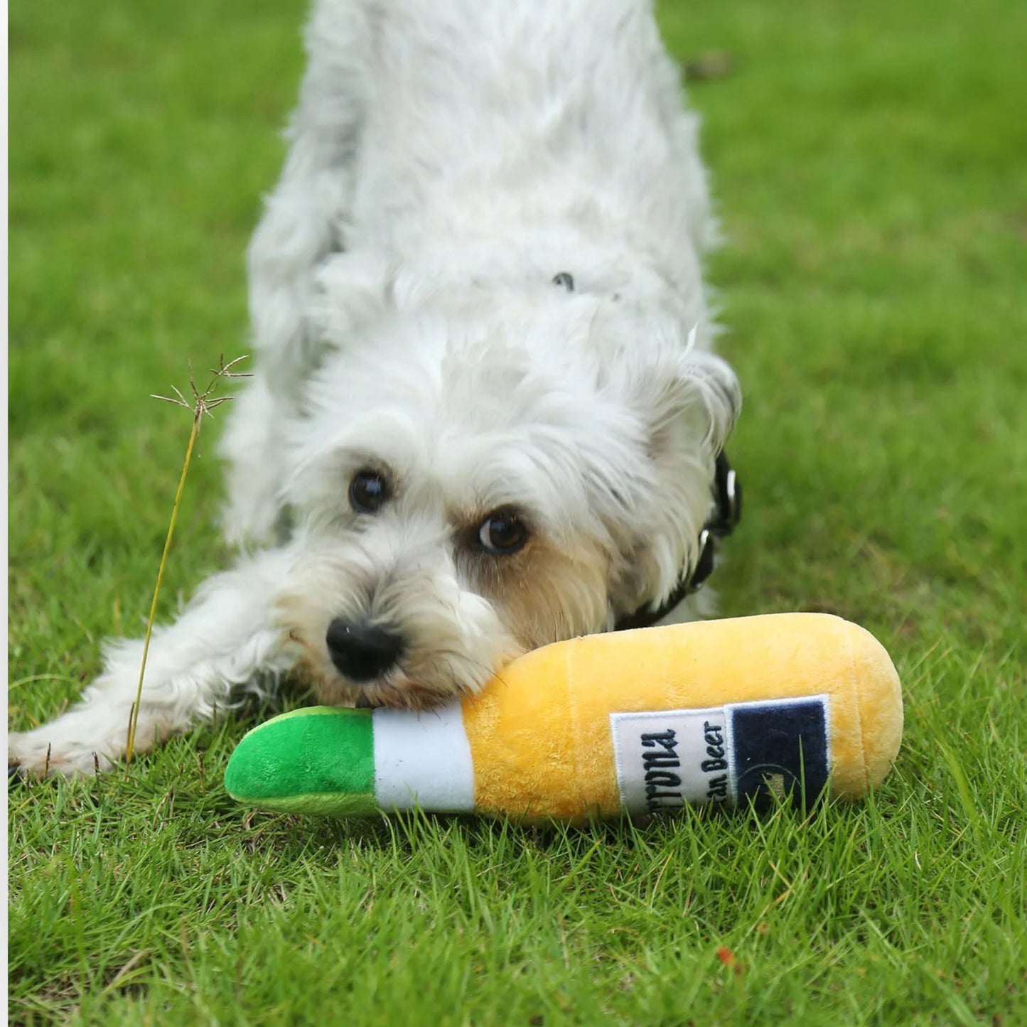 Grrona Mexican Beer - Plush Toy