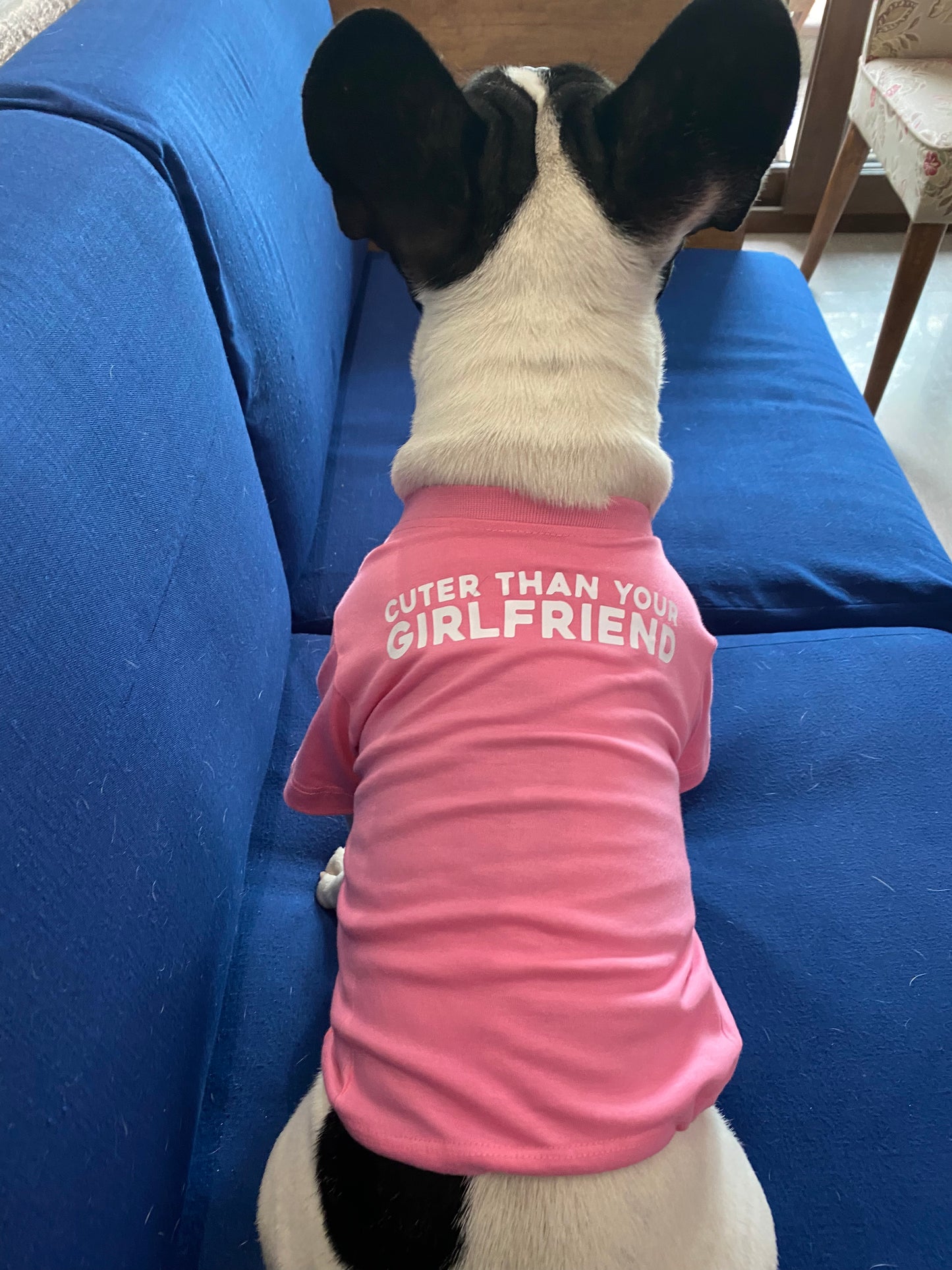 Cuter Than Your Girlfriend Dog Tee