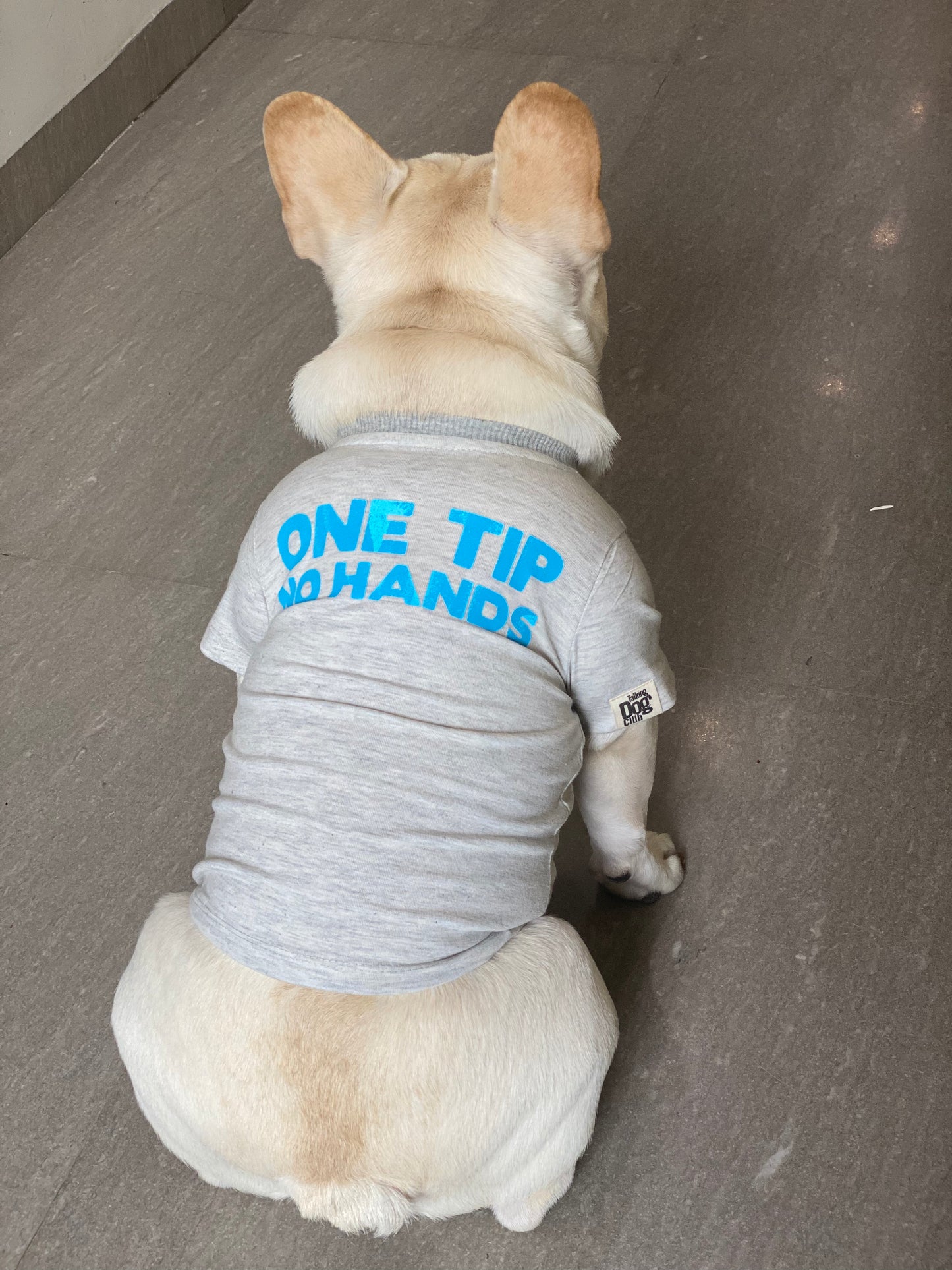 One Tip No Hands Dog Tee